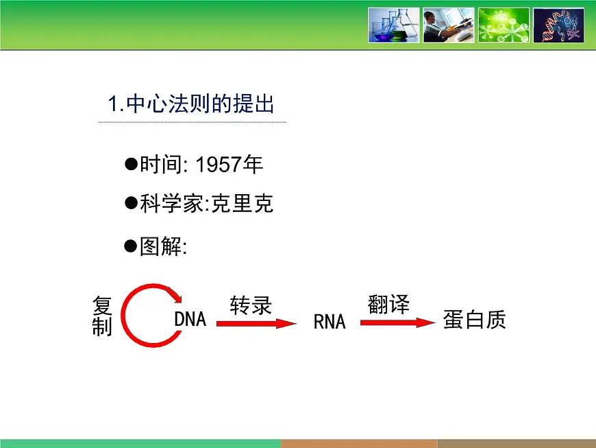 人教版 (新课标)高中生物 必修2 4-2《基因对性状的控制》课件第8页