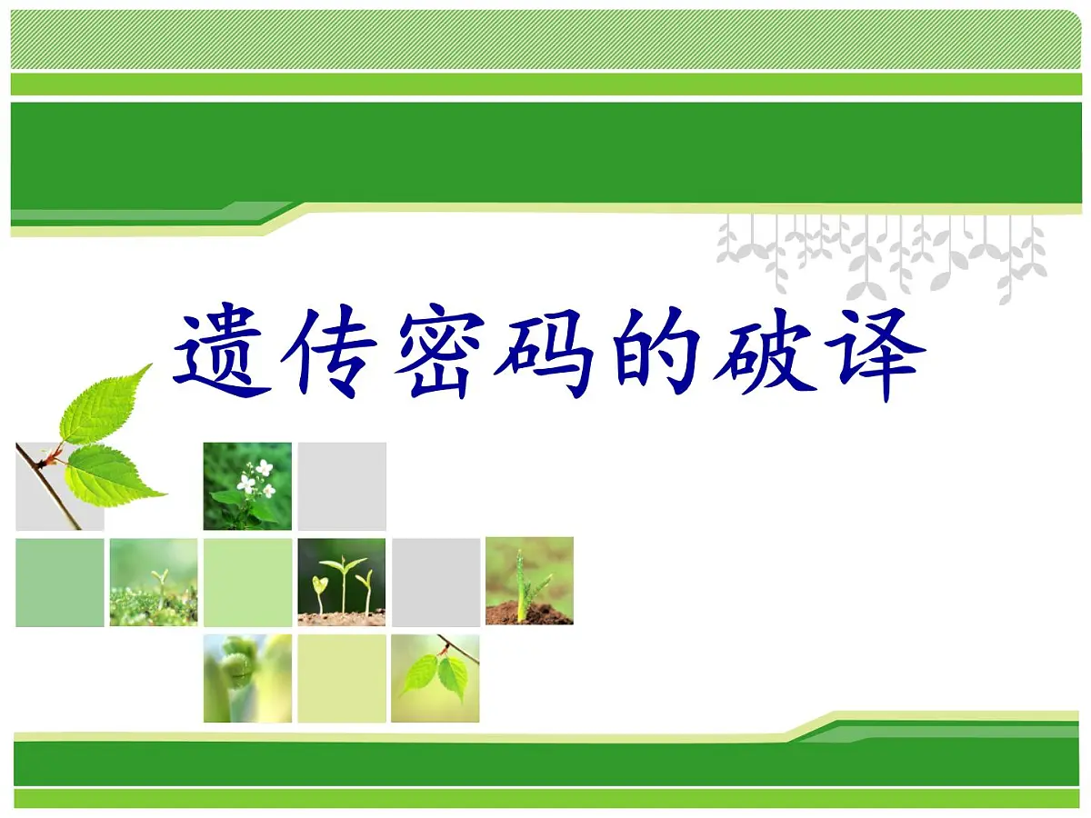 人教版 (新课标)高中生物 必修2 4-3《遗传密码的破译(选学)》课件第1页
