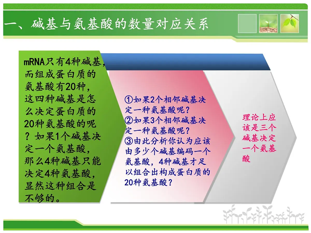 人教版 (新课标)高中生物 必修2 4-3《遗传密码的破译(选学)》课件第4页
