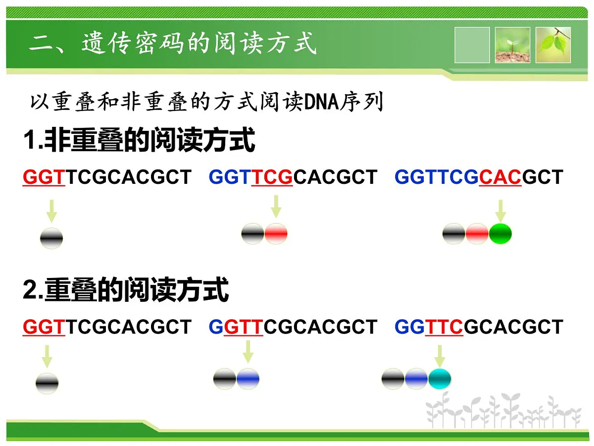 人教版 (新课标)高中生物 必修2 4-3《遗传密码的破译(选学)》课件第5页