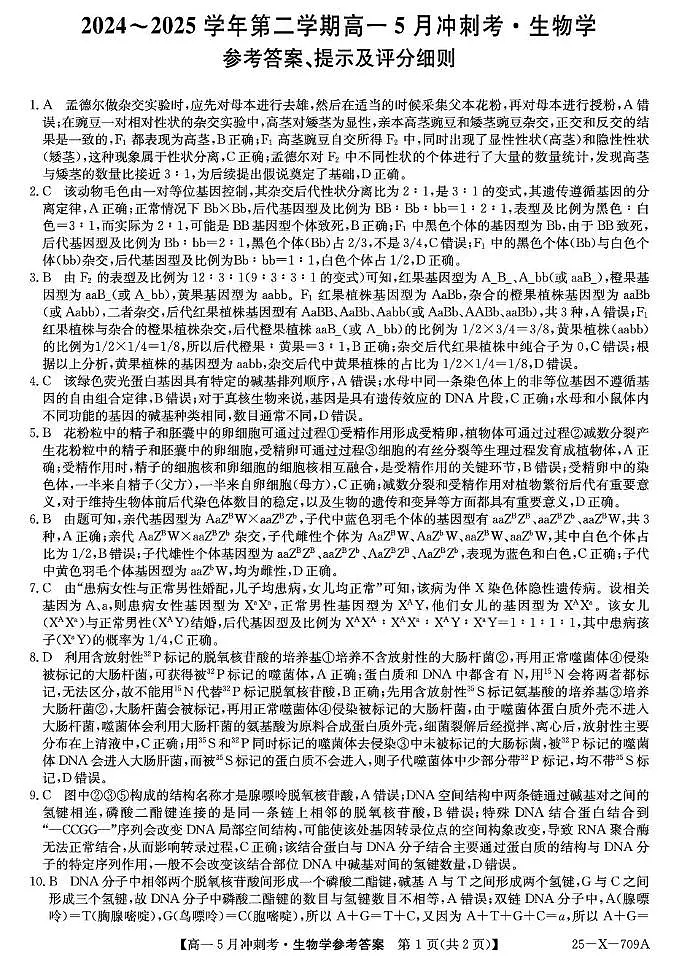 山西省卓越联盟2024-2025学年高一下学期5月冲刺考生物答案(图片版)第1页
