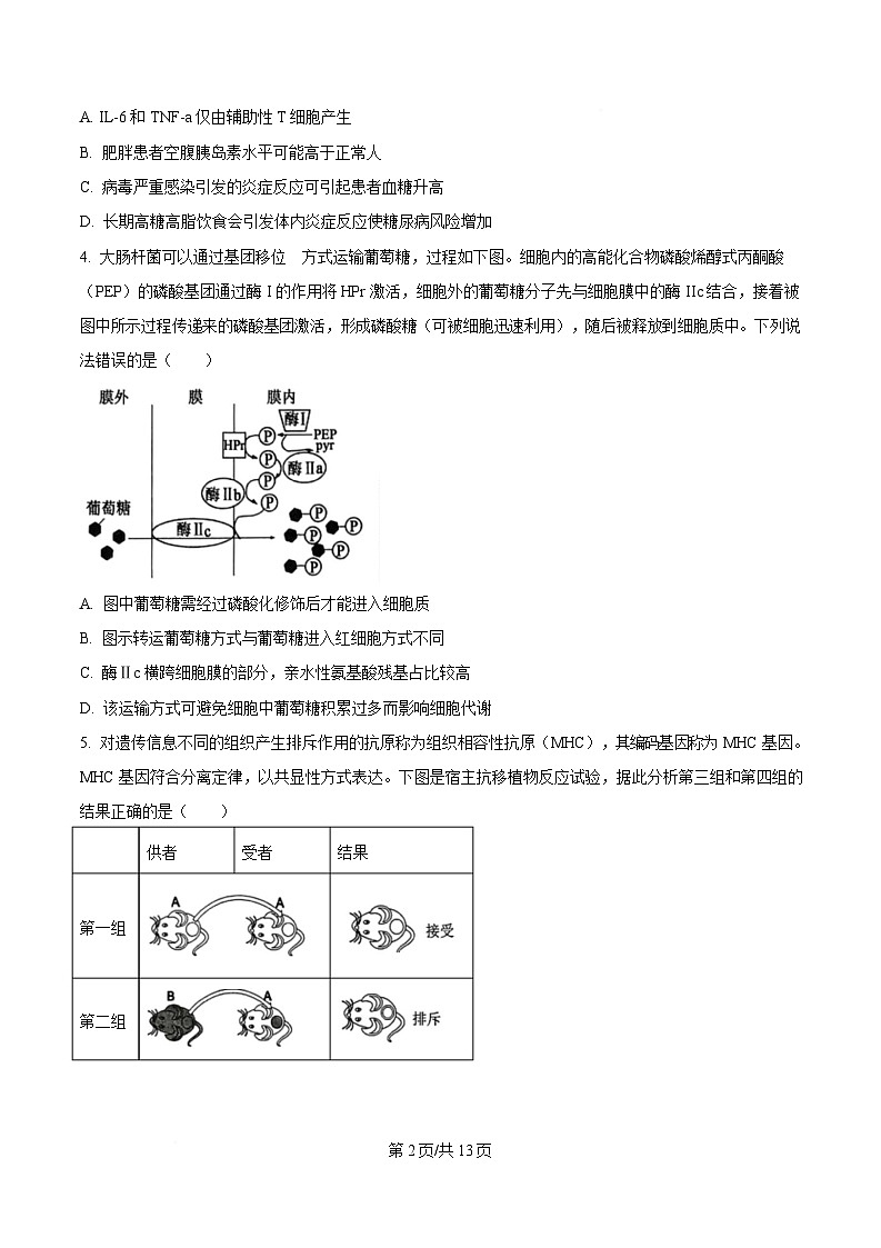 2025屆重慶市九龍坡區(qū)重慶市育才中學(xué)高三二模生物試題(原卷版)第2頁