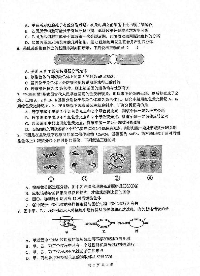 四川省绵阳中学2024-2025学年高一下学期6月自主测试生物试卷第2页
