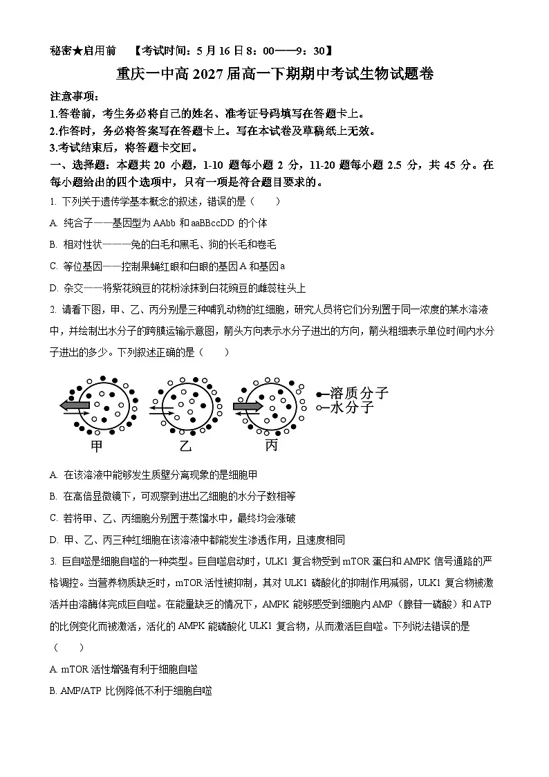 重庆市沙坪坝区重庆市第一中学校2024-2025学年高一下学期5月期中生物试题第1页