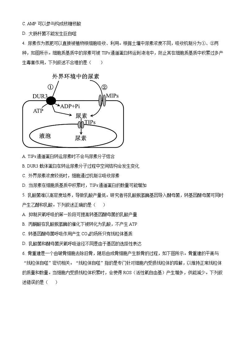 重庆市沙坪坝区重庆市第一中学校2024-2025学年高一下学期5月期中生物试题第2页