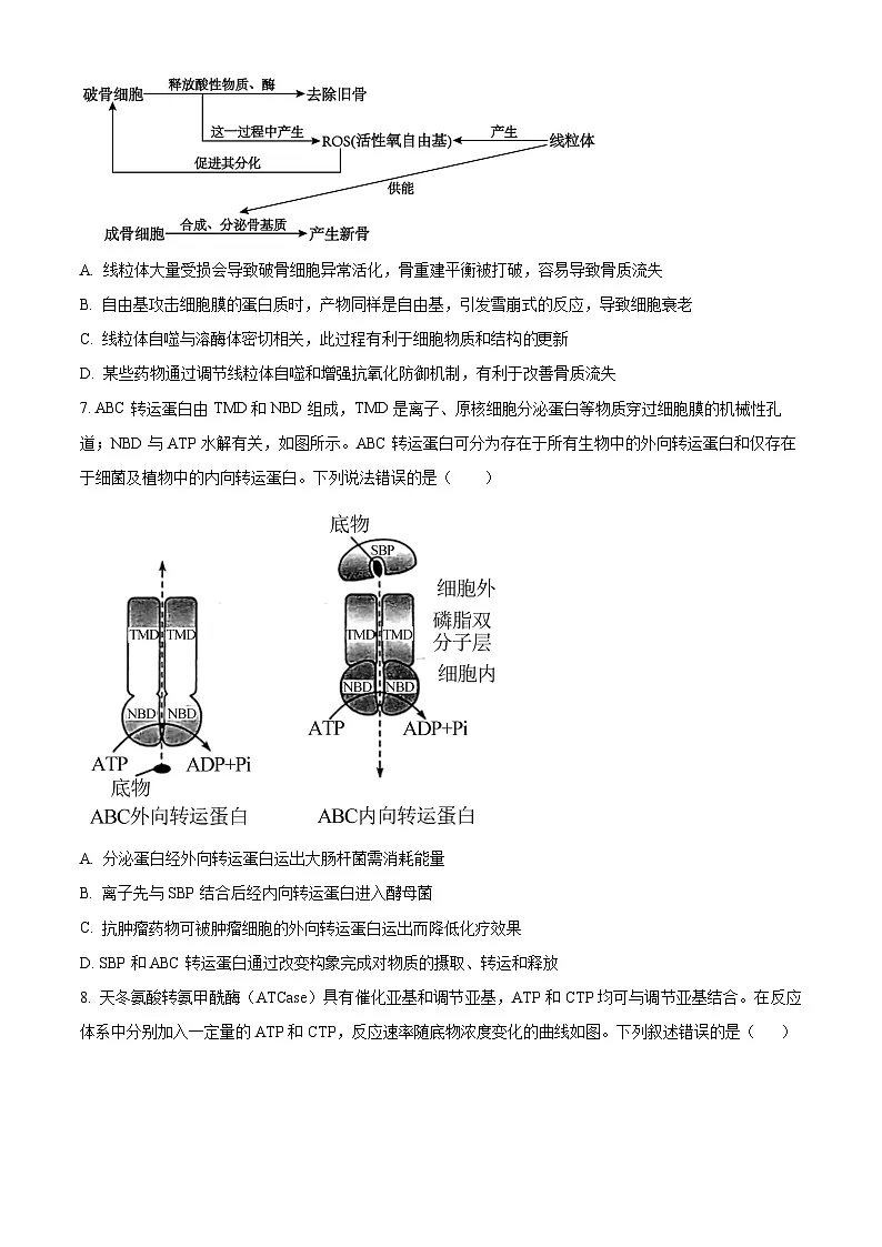 重庆市沙坪坝区重庆市第一中学校2024-2025学年高一下学期5月期中生物试题第3页
