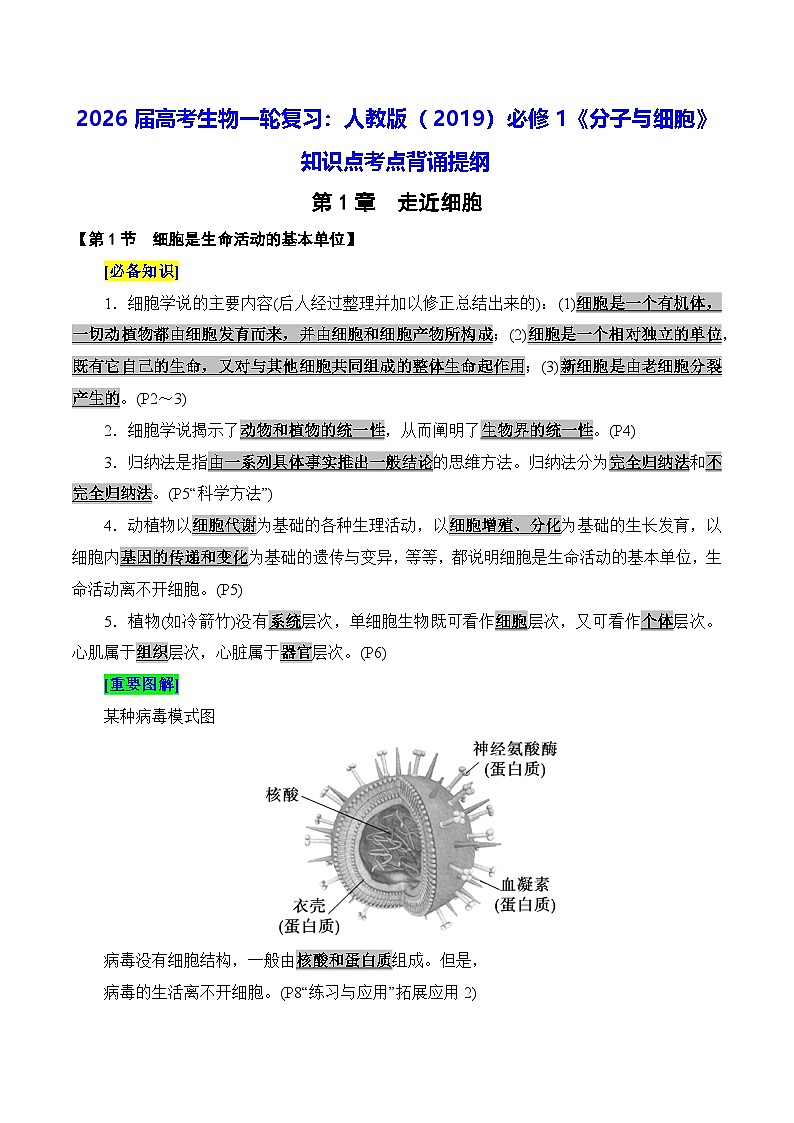 2026届高考生物一轮复习:人教版(2019)必修1《分子与细胞》知识点考点背诵提纲 学案第1页