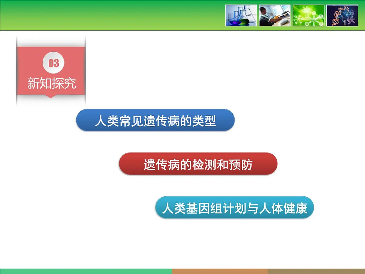 人教版 (新课标)高中生物必修2 5-3《人类遗传病》课件第5页