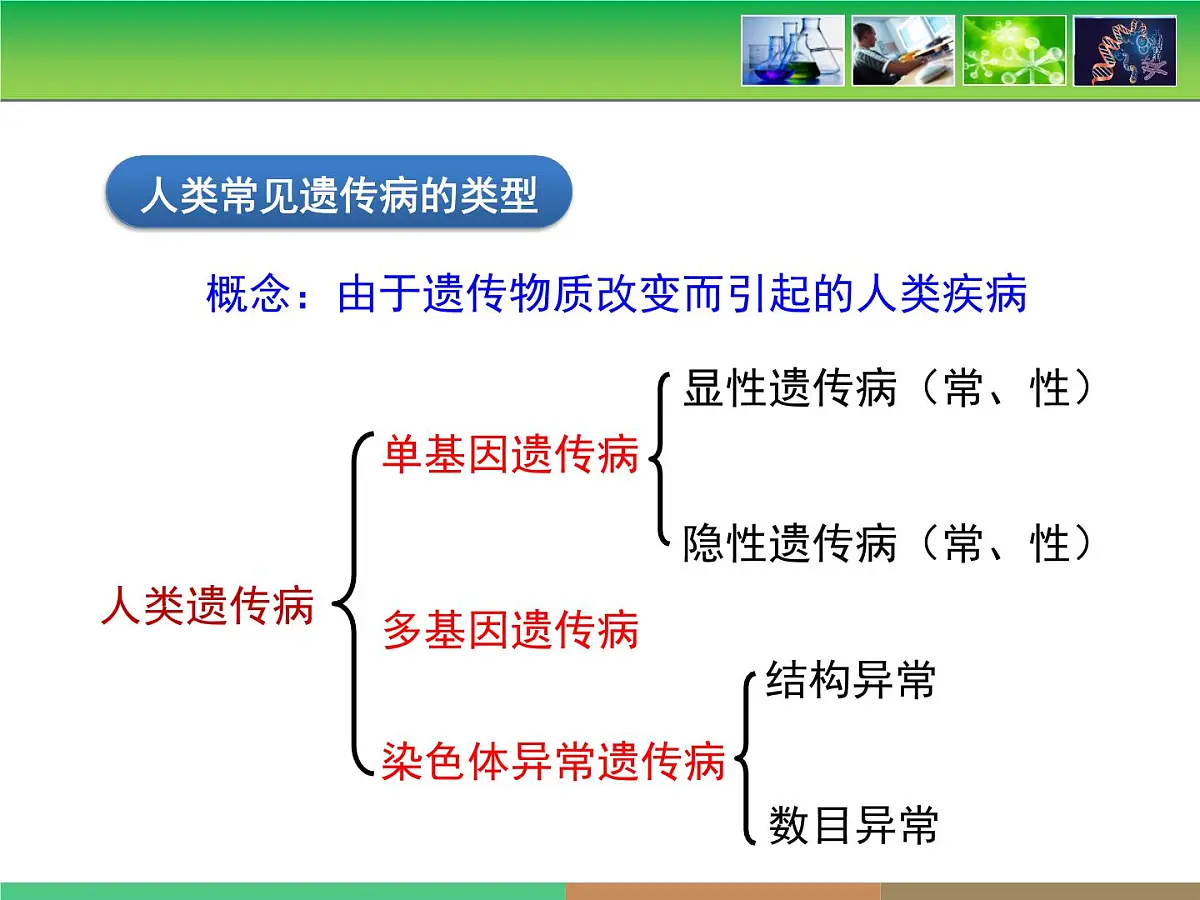 人教版 (新课标)高中生物必修2 5-3《人类遗传病》课件第6页