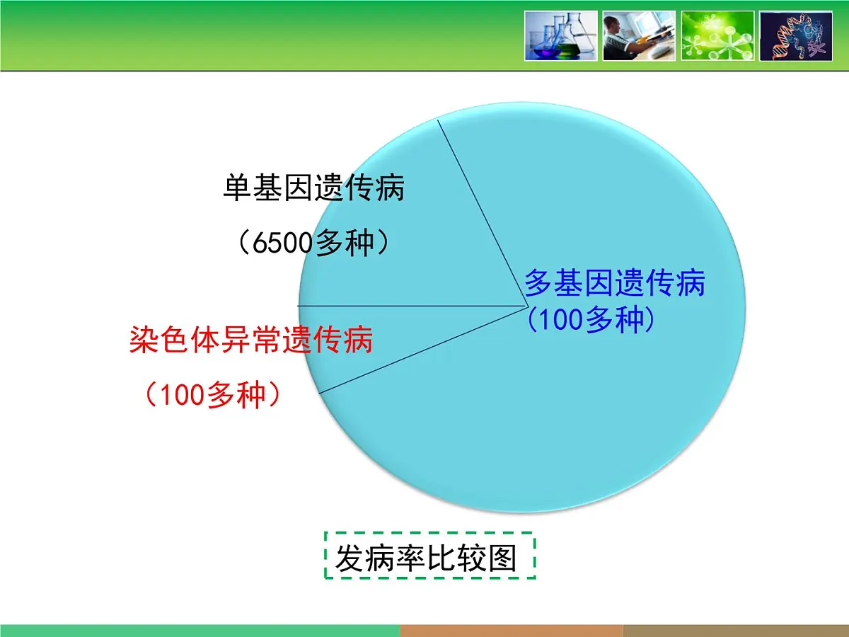 人教版 (新课标)高中生物必修2 5-3《人类遗传病》课件第7页