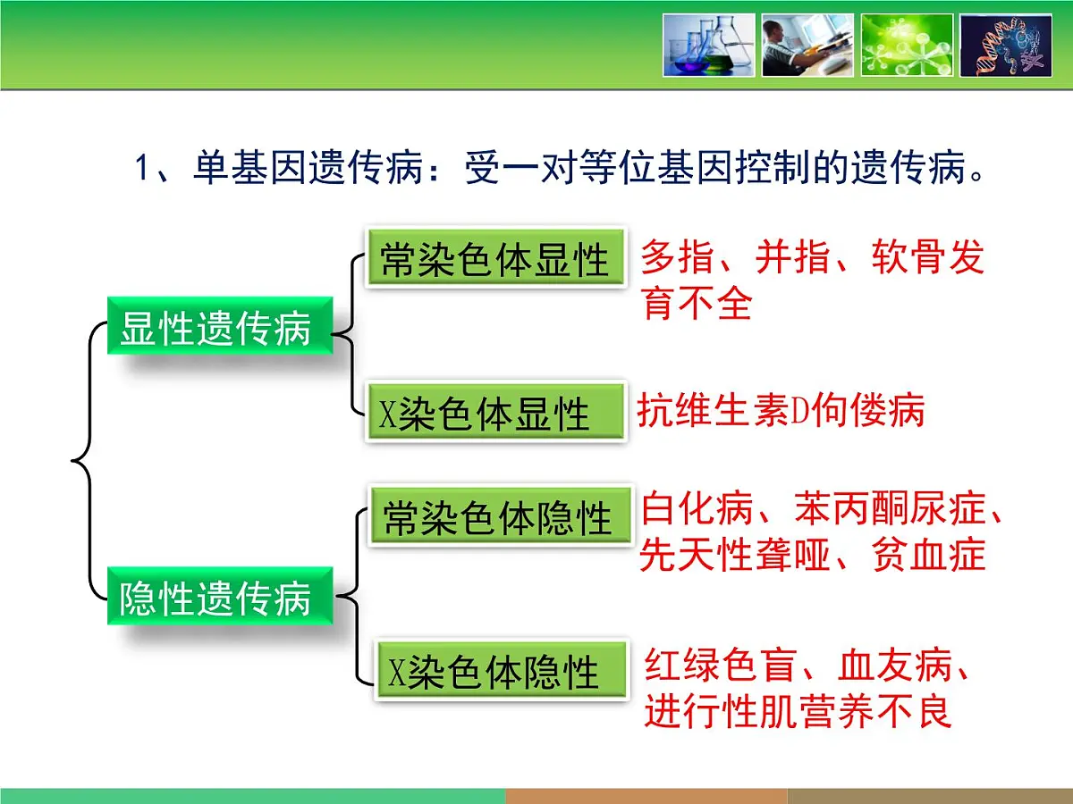 人教版 (新课标)高中生物必修2 5-3《人类遗传病》课件第8页