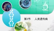 生物必修2《遗传与进化》人类遗传病复习课件ppt
