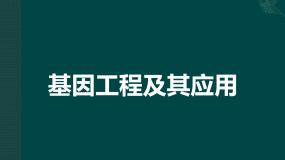 高中生物人教版 (新课标)必修2《遗传与进化》基因工程及其应用示范课课件ppt
