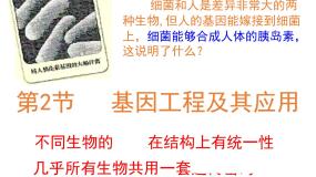 人教版 (新课标)必修2《遗传与进化》基因工程及其应用示范课课件ppt