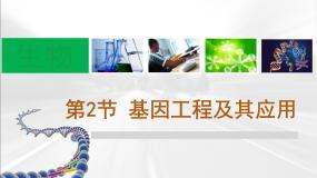 人教版 (新课标)必修2《遗传与进化》基因工程及其应用示范课ppt课件
