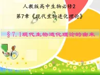 人教版 (新課標)高中生物必修2 7-1《現(xiàn)代生物進化理論的由來》課件