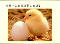 人教版 (新課標)高中生物必修2 7-1《現(xiàn)代生物進化理論的由來》課件