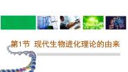 人教版 (新课标)必修2《遗传与进化》现代生物进化理论的由来课文ppt课件