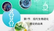 高中生物人教版 (新课标)必修2《遗传与进化》现代生物进化理论的由来复习课件ppt