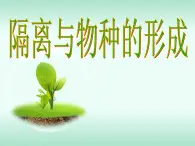 人教版 (新課標(biāo))高中生物必修2 7-2-2《隔離與物種的形成》課件