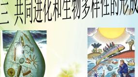 高中生物共同进化与生物多样性的形成课前预习ppt课件