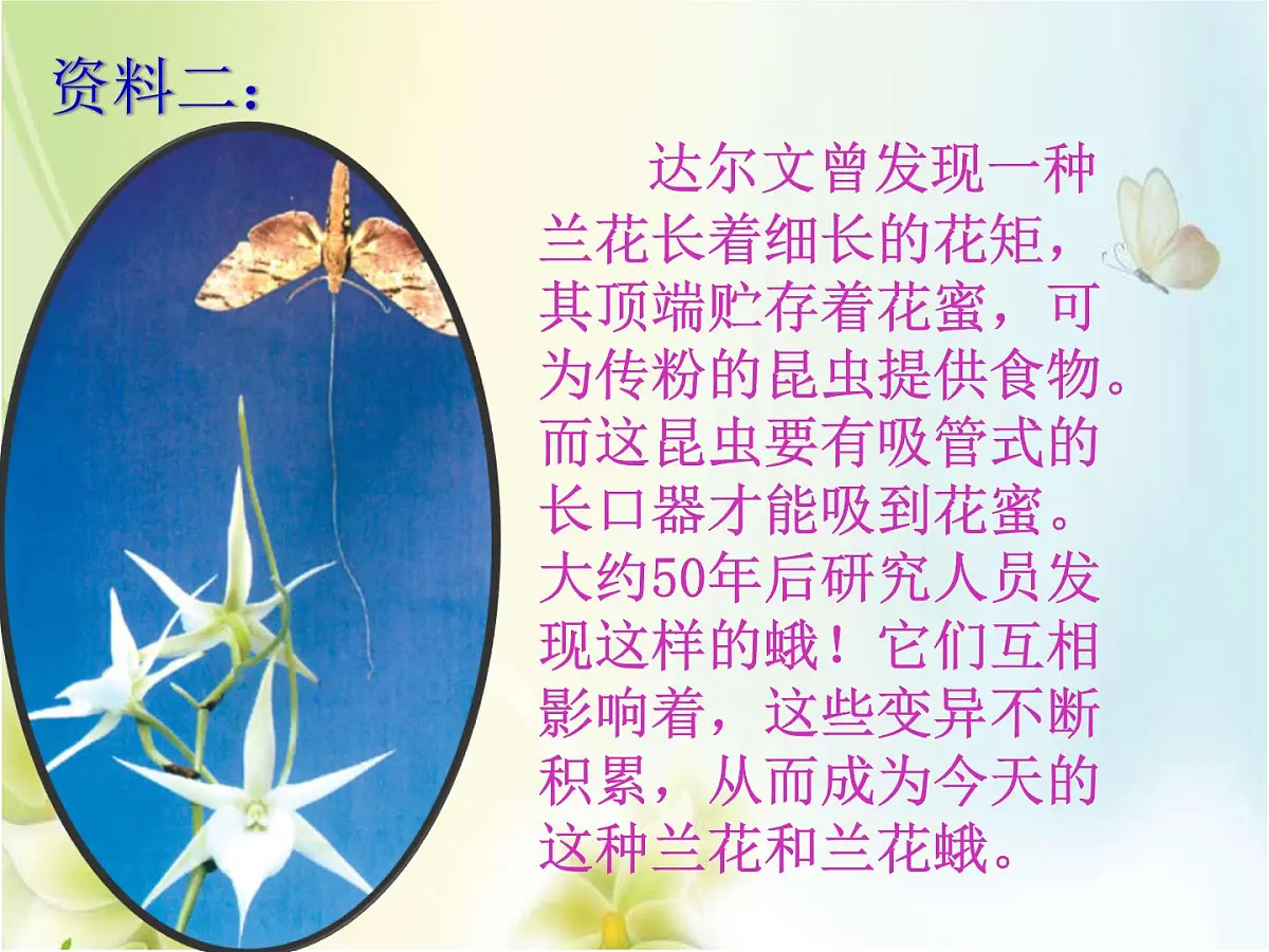 人教版 (新课标)高中生物必修2 7-2-3《共同进化与生物多样性的形成》课件第8页