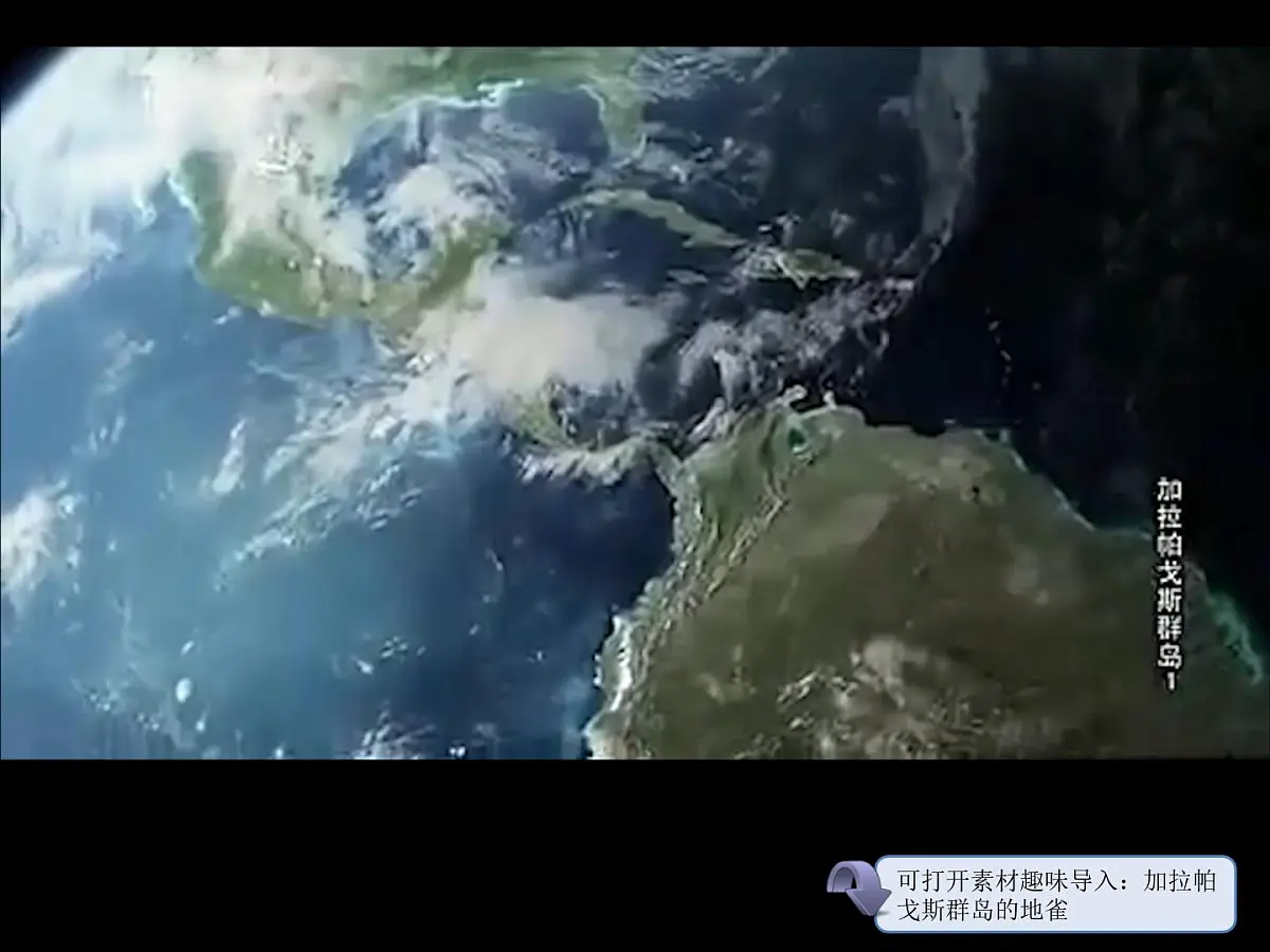 人教版 (新课标)高中生物必修2 7-2-2《隔离与物种的形成》课件第2页