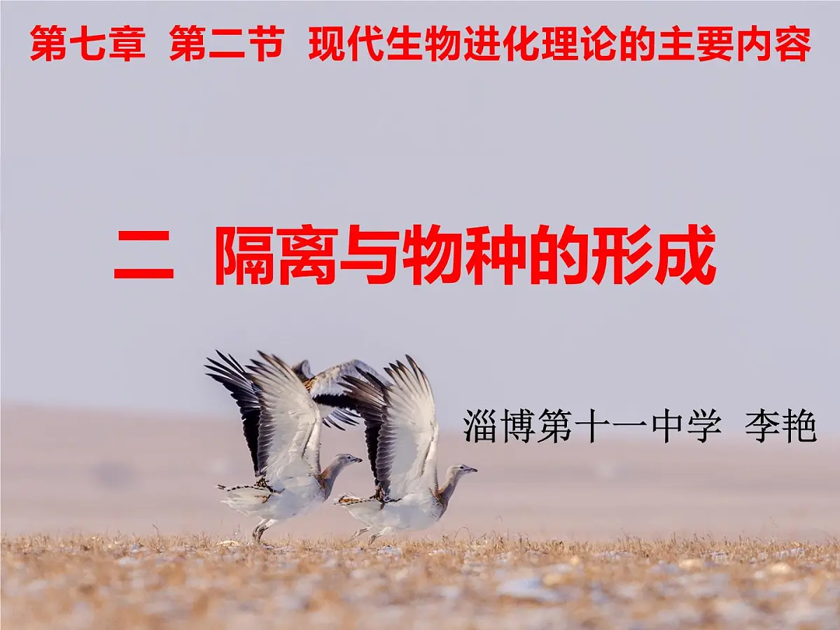 人教版 (新课标)高中生物必修2 7-2-2《隔离与物种的形成》课件第5页