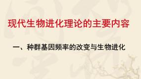 高中生物人教版 (新课标)必修2《遗传与进化》种群基因频率的改变与生物进化背景图课件ppt