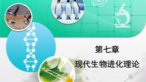 人教版 (新课标)高中生物必修2 第七章《现代生物进化理论》复习课件