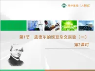 人教版 (新課標)高中生物 必修2 1-1《孟德爾的豌豆雜交實驗（一）》第2課時教學課件