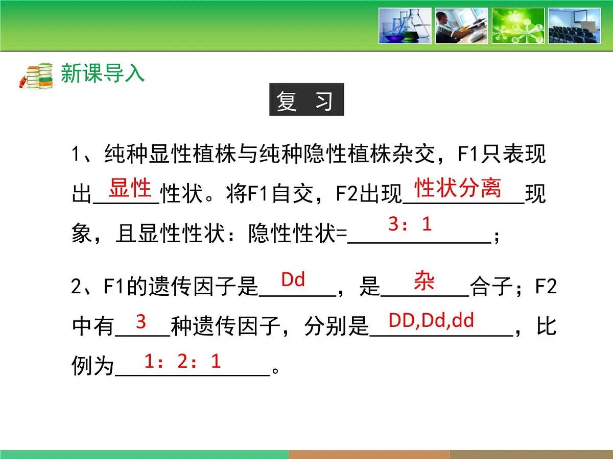 人教版 (新课标)高中生物 必修2 1-1《孟德尔的豌豆杂交实验(一)》第2课时教学课件第3页