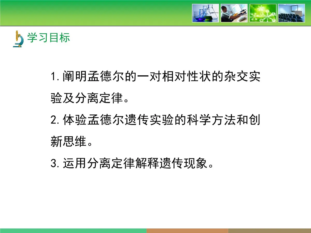 人教版 (新课标)高中生物 必修2 1-1《孟德尔的豌豆杂交实验(一)》第2课时教学课件第4页