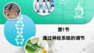 高中生物人教版 (新课标)必修3《稳态与环境》通过神经系统的调节复习课件ppt