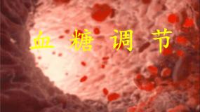 高中生物人教版 (新课标)必修3《稳态与环境》通过激素的调节课堂教学课件ppt