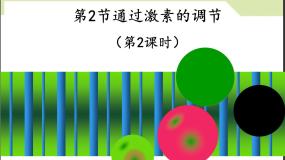 高中生物人教版 (新课标)必修3《稳态与环境》通过激素的调节课文课件ppt