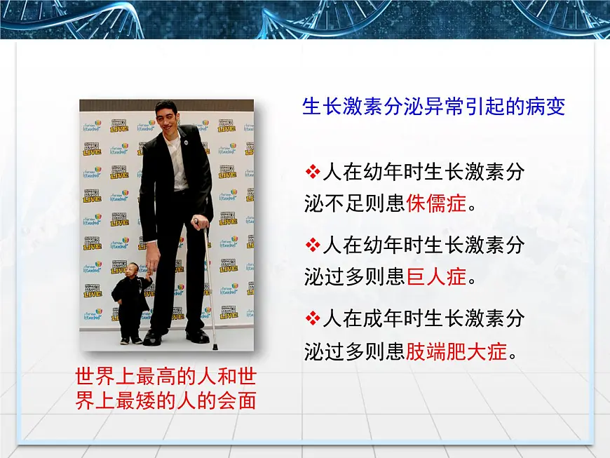 人教版 (新课标)高中生物必修3 2-2《通过激素的调节》课件第3页