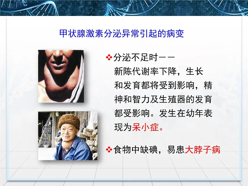 人教版 (新课标)高中生物必修3 2-2《通过激素的调节》课件第4页