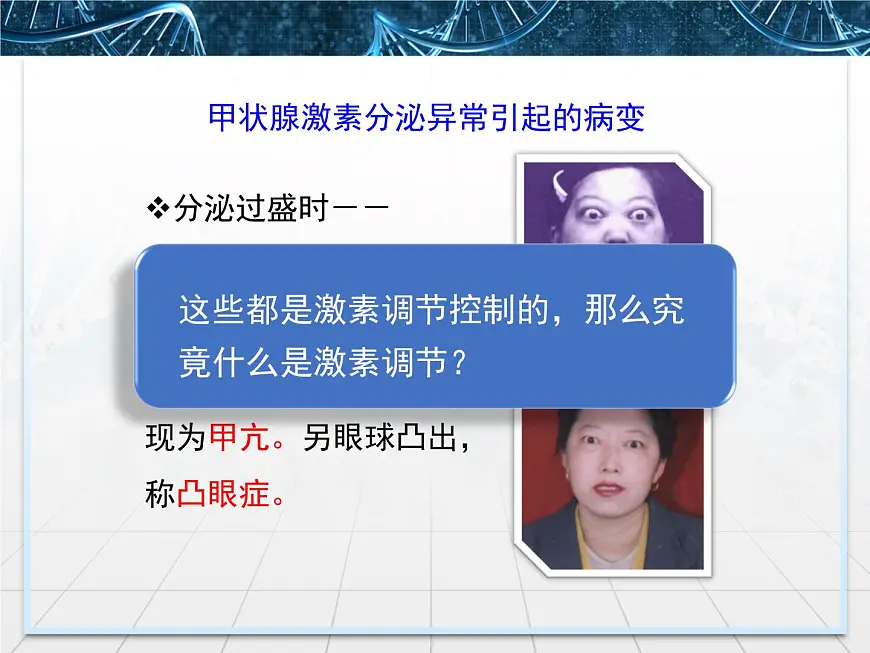 人教版 (新课标)高中生物必修3 2-2《通过激素的调节》课件第5页