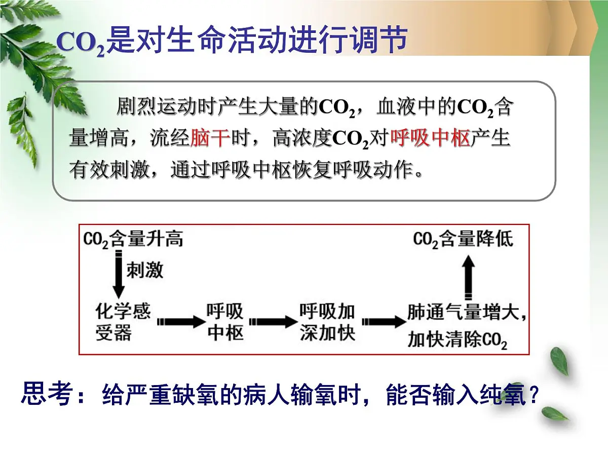 人教版 (新课标)高中生物必修3 2-3《神经调节与体液调节的关系》课件第4页