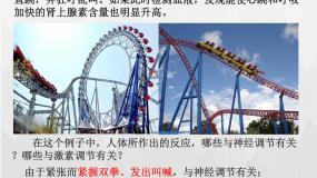 人教版 (新课标)必修3《稳态与环境》神经调节与体液调节的关系备课课件ppt