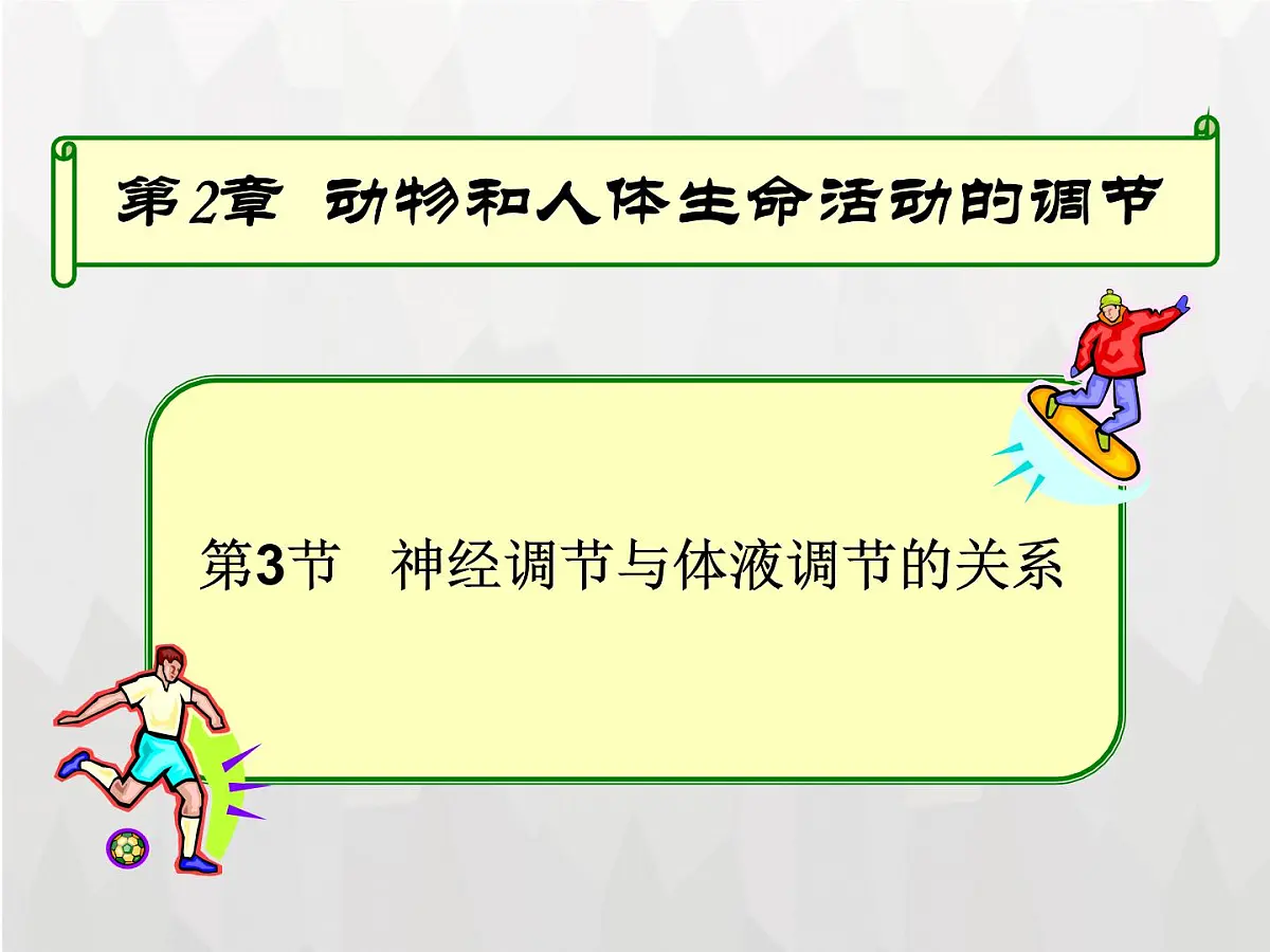 人教版 (新课标)高中生物必修3 2-3《神经调节和体液调节的关系》课件第2页