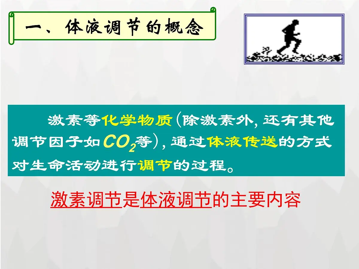 人教版 (新课标)高中生物必修3 2-3《神经调节和体液调节的关系》课件第6页