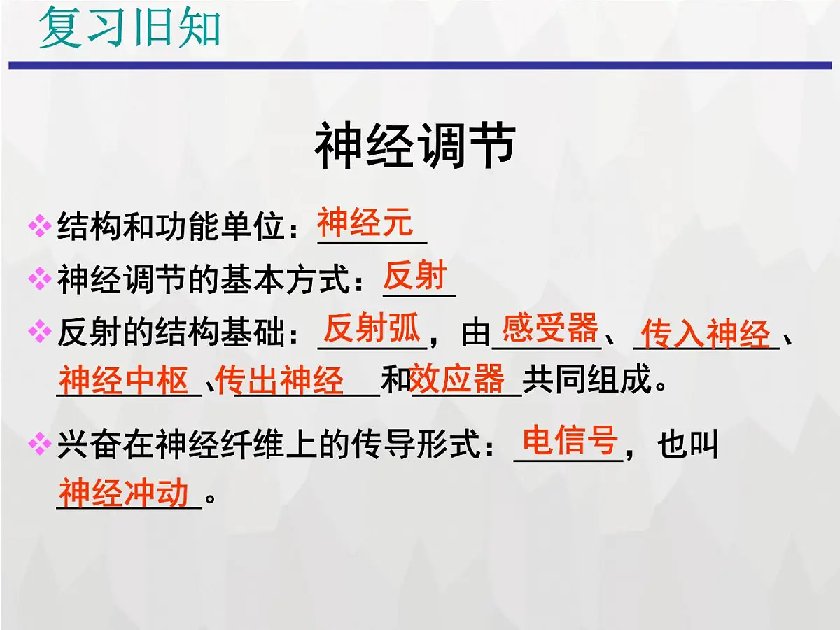 人教版 (新课标)高中生物必修3 2-3《神经调节和体液调节的关系》课件第7页