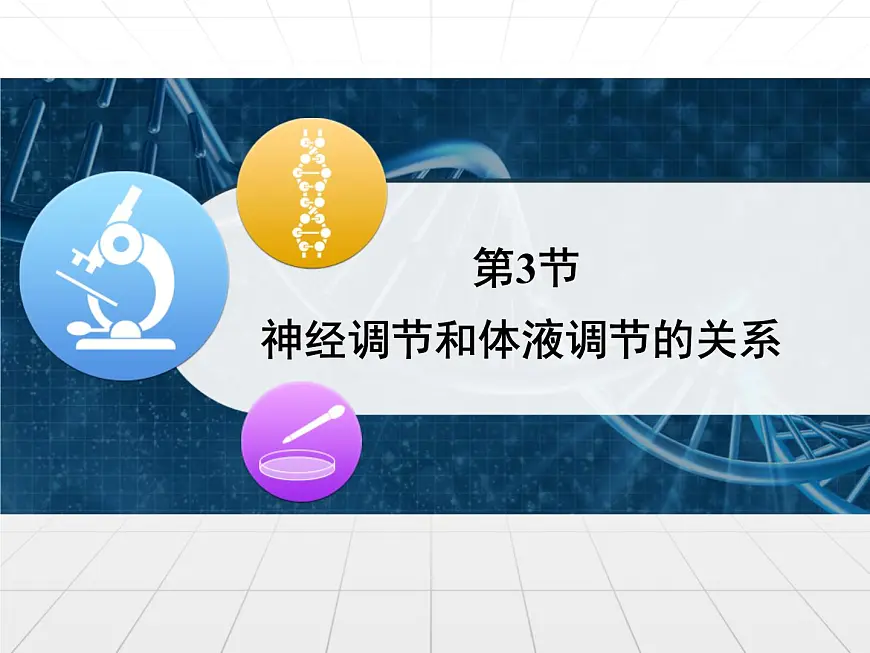人教版 (新课标)高中生物必修3 2-3《神经调节与体液调节的关系》课件第1页