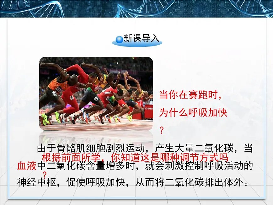 人教版 (新课标)高中生物必修3 2-3《神经调节与体液调节的关系》课件第2页