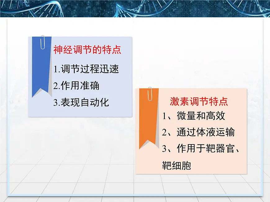 人教版 (新课标)高中生物必修3 2-3《神经调节与体液调节的关系》课件第7页