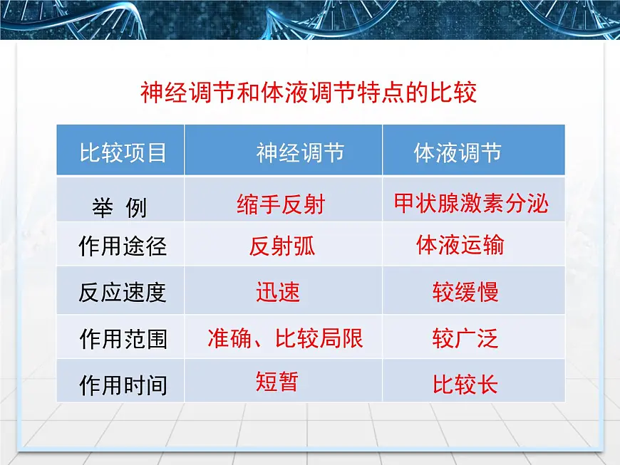 人教版 (新课标)高中生物必修3 2-3《神经调节与体液调节的关系》课件第8页