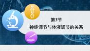 高中人教版 (新课标)神经调节与体液调节的关系多媒体教学ppt课件