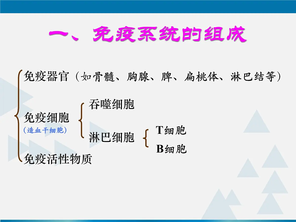 人教版 (新课标)高中生物必修3 2-4《免疫调节(第1课时)》课件第5页